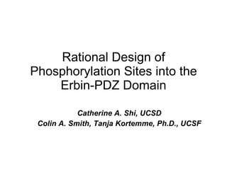 Rational Design of Phosphorylation Sites into the Erbin-PDZ Domain ,[object Object],[object Object]