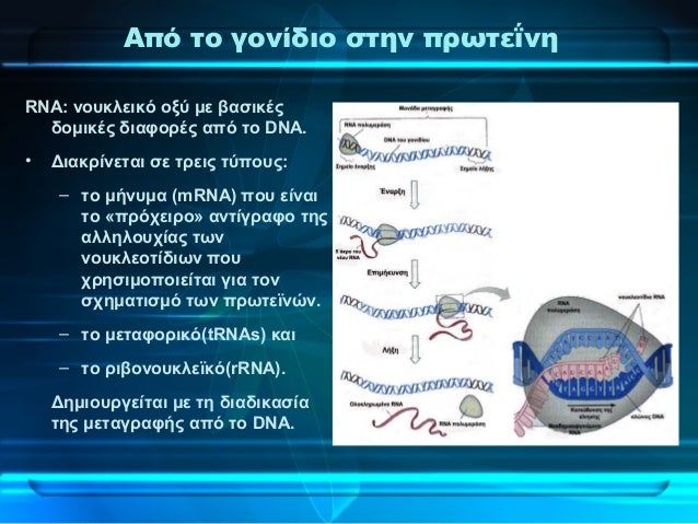 Exercise and gene expression