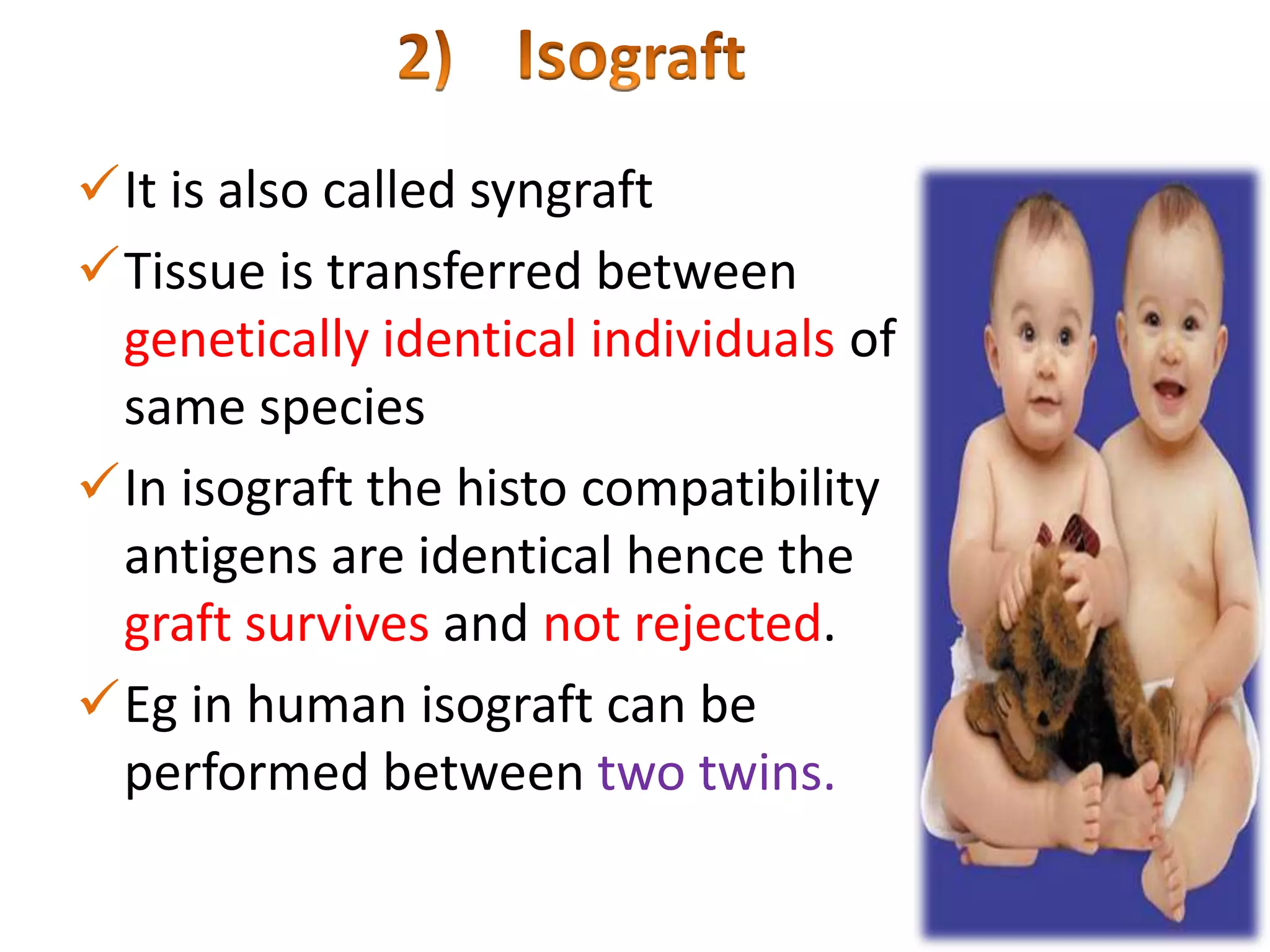 It is also called syngraft
Tissue is transferred between
genetically identical individuals of
same species
In isograft the histo compatibility
antigens are identical hence the
graft survives and not rejected.
Eg in human isograft can be
performed between two twins.

 