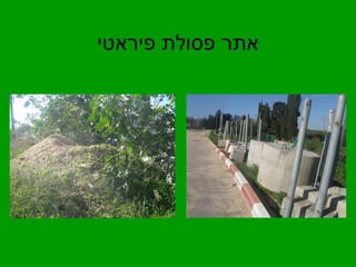 אתר פסולת פיראטי 
 