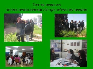 מה נעשה עד כה? 
מפגשים עם פעילים בקהילה וגורמים נוספים במרחב 
 