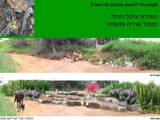 מקטע נחל לדוגמא בנקודת עניין מס 2 
הסדרת עיקול הנחל 
כמוקד שהייה ותצפית 2 
הדמיה: אדר' נוף ליאב שלם 

