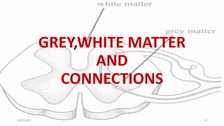 GREY,WHITE MATTER
AND
CONNECTIONS
26/01/2016 20
 