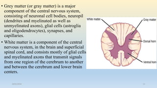 • Grey matter (or gray matter) is a major
component of the central nervous system,
consisting of neuronal cell bodies, neuropil
(dendrites and myelinated as well as
unmyelinated axons), glial cells (astroglia
and oligodendrocytes), synapses, and
capillaries.
• White matter is a component of the central
nervous system, in the brain and superficial
spinal cord, and consists mostly of glial cells
and myelinated axons that transmit signals
from one region of the cerebrum to another
and between the cerebrum and lower brain
centers.
26/01/2016 21
 