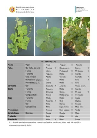 11 - ARINTO (CO4)
Planta Vigor Fraco Regular X Robusta
Folha Cor (folha Jovem) Amarela X Cobre averm. Bronze X
Forma Inteira Pentagonal X Nº lóbulos 5
Tamanho Pequena Média X Grande
Seio peciolar Aberto Chaveta Fechado X
Bulhosidade (pág.sup.) Nula Média Forte X
Pilosidade (pág.inf.) Glabra Média X Forte
Sarmento Cor Castanha X Amarela Violeta averm.
Cacho Tamanho Pequeno Média X Grande
Forma Cilíndrico Cónico X Nº asas 2
Compacidade Frouxo Média comp. X Compacto
Bago Tamanho Miúdo Médio X Grado
Forma Redondo X Oval Elíptico
Cor Tinta Branca X Rosada
Consistência Mole Ligeir. Firme X Muito firme
Precocidade Precoce Semi precoce X Tardia
Sensibilidade Doenças Pouca Regular X Muita
Produção Baixa Média X Alta
Adaptação Vinho X Mesa Passa
(1) – Segundo apreciação de especialistas em ampelografia não se trata da casta Arinto, tendo sido sugerida a
denominação de Arinto de Tavira.
 