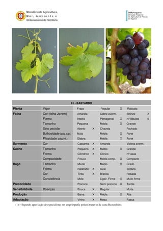61 - BASTARDO
Planta Vigor Fraco Regular X Robusta
Folha Cor (folha Jovem) Amarela Cobre averm. Bronze X
Forma Inteira Pentagonal X Nº lóbulos 5
Tamanho Pequena Média X Grande
Seio peciolar Aberto X Chaveta Fechado
Bulhosidade (pág.sup.) Nula Média X Forte
Pilosidade (pág.inf.) Glabra Média X Forte
Sarmento Cor Castanha X Amarela Violeta averm.
Cacho Tamanho Pequeno X Médio X Grande
Forma Cilíndrico X Cónico Nº asas
Compacidade Frouxo Média comp. X Compacto
Bago Tamanho Miúdo Médio X Grado
Forma Redondo X Oval Elíptico
Cor Tinta X Branca Rosada
Consistência Mole Ligeir. Firme X Muito firme
Precocidade Precoce Semi precoce X Tardia
Sensibilidade Doenças Pouca X Regular Muita
Produção Baixa X Média X Alta
Adaptação Vinho X Mesa Passa
(1) – Segundo apreciação de especialistas em ampelografia poderá tratar-se da casta Bastardinho.
 