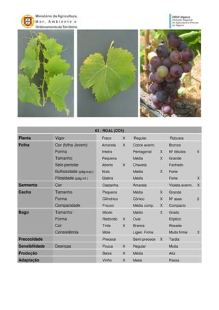 63 - ROAL (CO1)
Planta Vigor Fraco X Regular Robusta
Folha Cor (folha Jovem) Amarela X Cobre averm. Bronze
Forma Inteira Pentagonal X Nº lóbulos 5
Tamanho Pequena Média X Grande
Seio peciolar Aberto X Chaveta Fechado
Bulhosidade (pág.sup.) Nula Média X Forte
Pilosidade (pág.inf.) Glabra Média Forte X
Sarmento Cor Castanha Amarela Violeta averm. X
Cacho Tamanho Pequeno Média X Grande
Forma Cilíndrico Cónico X Nº asas 2
Compacidade Frouxo Média comp. X Compacto
Bago Tamanho Miúdo Médio X Grado
Forma Redondo X Oval Elíptico
Cor Tinta X Branca Rosada
Consistência Mole Ligeir. Firme Muito firme X
Precocidade Precoce Semi precoce X Tardia
Sensibilidade Doenças Pouca X Regular Muita
Produção Baixa X Média Alta
Adaptação Vinho X Mesa Passa
 