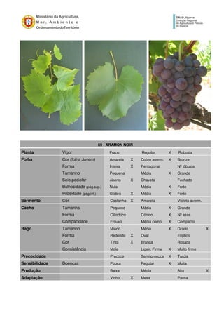 69 - ARAMON NOIR
Planta Vigor Fraco Regular X Robusta
Folha Cor (folha Jovem) Amarela X Cobre averm. X Bronze
Forma Inteira X Pentagonal Nº lóbulos
Tamanho Pequena Média X Grande
Seio peciolar Aberto X Chaveta Fechado
Bulhosidade (pág.sup.) Nula Média X Forte
Pilosidade (pág.inf.) Glabra X Média X Forte
Sarmento Cor Castanha X Amarela Violeta averm.
Cacho Tamanho Pequeno Média X Grande
Forma Cilíndrico Cónico X Nº asas
Compacidade Frouxo Média comp. X Compacto
Bago Tamanho Miúdo Médio X Grado X
Forma Redondo X Oval Elíptico
Cor Tinta X Branca Rosada
Consistência Mole Ligeir. Firme X Muito firme
Precocidade Precoce Semi precoce X Tardia
Sensibilidade Doenças Pouca Regular X Muita
Produção Baixa Média Alta X
Adaptação Vinho X Mesa Passa
 