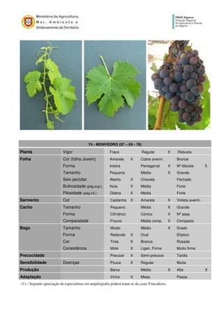 (1) – Segundo apreciação de especialistas em ampelografia poderá tratar-se da casta Trincadeira.
74 - MONVEDRO (07 – 04 - 76)
Planta Vigor Fraco Regular X Robusta
Folha Cor (folha Jovem) Amarela X Cobre averm. Bronze
Forma Inteira Pentagonal X Nº lóbulos 5
Tamanho Pequena Média X Grande
Seio peciolar Aberto X Chaveta Fechado
Bulhosidade (pág.sup.) Nula X Média Forte
Pilosidade (pág.inf.) Glabra X Média Forte
Sarmento Cor Castanha X Amarela X Violeta averm.
Cacho Tamanho Pequeno Média X Grande
Forma Cilíndrico Cónico X Nº asas
Compacidade Frouxo Média comp. X Compacto
Bago Tamanho Miúdo Médio X Grado
Forma Redondo X Oval Elíptico
Cor Tinta X Branca Rosada
Consistência Mole X Ligeir. Firme Muito firme
Precocidade Precoce X Semi precoce Tardia
Sensibilidade Doenças Pouca X Regular Muita
Produção Baixa Média X Alta X
Adaptação Vinho X Mesa Passa
 