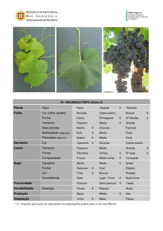 78 - MOURISCO TINTO (Clone A)
Planta Vigor Fraco Regular X Robusta
Folha Cor (folha Jovem) Amarela Cobre averm. Bronze X
Forma Inteira Pentagonal X Nº lóbulos 3
Tamanho Pequena Média X Grande
Seio peciolar Aberto X Chaveta Fechado
Bulhosidade (pág.sup.) Nula X Média Forte
Pilosidade (pág.inf.) Glabra X Média Forte
Sarmento Cor Castanha X Amarela Violeta averm.
Cacho Tamanho Pequeno Média Grande X
Forma Cilíndrico Cónico X Nº asas 2
Compacidade Frouxo Média comp. X Compacto
Bago Tamanho Miúdo Médio X Grado
Forma Redondo X Oval Elíptico
Cor Tinta X Branca Rosada
Consistência Mole Ligeir. Firme X Muito firme
Precocidade Precoce Semi precoce X Tardia
Sensibilidade Doenças Pouca X Regular Muita
Produção Baixa Média X Alta
Adaptação Vinho X Mesa Passa
(1) – Segundo apreciação de especialistas em ampelografia poderá tratar-se da casta Marufo.
 