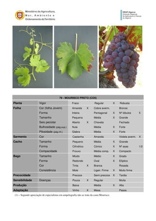 79 - MOURISCO PRETO (CO5)
Planta Vigor Fraco Regular X Robusta
Folha Cor (folha Jovem) Amarela X Cobre averm. Bronze
Forma Inteira Pentagonal X Nº lóbulos 5
Tamanho Pequena Média X Grande
Seio peciolar Aberto X Chaveta Fechado
Bulhosidade (pág.sup.) Nula Média X Forte
Pilosidade (pág.inf.) Glabra Média X Forte
Sarmento Cor Castanha Amarela Violeta averm. X
Cacho Tamanho Pequeno Média X Grande
Forma Cilíndrico Cónico X Nº asas 1/2
Compacidade Frouxo Média comp. X Compacto
Bago Tamanho Miúdo Médio X Grado
Forma Redondo Oval X Elíptico
Cor Tinta X Branca Rosada
Consistência Mole Ligeir. Firme X Muito firme
Precocidade Precoce Semi precoce X Tardia
Sensibilidade Doenças Pouca X Regular Muita
Produção Baixa Média X Alta
Adaptação Vinho X Mesa Passa
(1) – Segundo apreciação de especialistas em ampelografia não se trata da casta Mourisco.
 