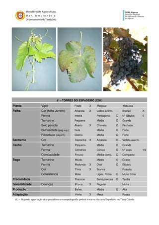 91 - TORRES DO ESPADEIRO (CO1)
Planta Vigor Fraco X Regular Robusta
Folha Cor (folha Jovem) Amarela X Cobre averm. Bronze X
Forma Inteira Pentagonal X Nº lóbulos 5
Tamanho Pequena Média X Grande
Seio peciolar Aberto X Chaveta X Fechado
Bulhosidade (pág.sup.) Nula Média X Forte
Pilosidade (pág.inf.) Glabra Média X Forte
Sarmento Cor Castanha X Amarela X Violeta averm.
Cacho Tamanho Pequeno Médio X Grande
Forma Cilíndrico Cónico X Nº asas 1/2
Compacidade Frouxo Média comp. X Compacto
Bago Tamanho Miúdo Médio X Grado
Forma Redondo X Oval X Elíptico
Cor Tinta X Branca Rosada
Consistência Mole Ligeir. Firme X Muito firme
Precocidade Precoce Semi precoce X Tardia
Sensibilidade Doenças Pouca X Regular Muita
Produção Baixa Média X Alta
Adaptação Vinho X Mesa Passa
(1) – Segundo apreciação de especialistas em ampelografia poderá tratar-se da casta Espadeiro ou Tinta Caiada.
 