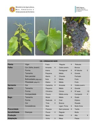 120 - CRENACHE NOIR
Planta Vigor Fraco Regular X Robusta
Folha Cor (folha Jovem) Amarela X Cobre averm. Bronze
Forma Inteira Pentagonal X Nº lóbulos 5
Tamanho Pequena Média X Grande
Seio peciolar Aberto X Chaveta Fechado
Bulhosidade (pág.sup.) Nula X Média Forte
Pilosidade (pág.inf.) Glabra X Média Forte
Sarmento Cor Castanha X Amarela X Violeta averm.
Cacho Tamanho Pequeno Médio X Grande
Forma Cilíndrico Cónico X Nº asas 1/2
Compacidade Frouxo Média comp. Compacto X
Bago Tamanho Miúdo Médio X Grado
Forma Redondo X Oval Elíptico
Cor Tinta X Branca Rosada
Consistência Mole Ligeir. Firme X Muito firme
Precocidade Precoce Semi precoce X Tardia
Sensibilidade Doenças Pouca X Regular Muita
Produção Baixa Média X Alta X
Adaptação Vinho X Mesa Passa
 