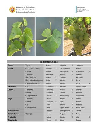 15 - MONTEPILA (CO5)
Planta Vigor Fraco Regular X Robusta
Folha Cor (folha Jovem) Amarela X Cobre averm. Bronze
Forma Inteira Pentagonal X Nº lóbulos 5
Tamanho Pequena Média X Grande
Seio peciolar Aberto X Chaveta Fechado
Bulhosidade (pág.sup.) Nula X Média X Forte
Pilosidade (pág.inf.) Glabra Média Forte X
Sarmento Cor Castanha X Amarela Violeta averm.
Cacho Tamanho Pequeno Média X Grande
Forma Cilíndrico Cónico X Nº asas 1
Compacidade Frouxo X Média comp. Compacto
Bago Tamanho Miúdo Médio X Grado
Forma Redondo X Oval Elíptico
Cor Tinta Branca X Rosada
Consistência Mole Ligeir. Firme X Muito firme
Precocidade Precoce Semi precoce X Tardia
Sensibilidade Doenças Pouca Regular X Muita
Produção Baixa Média X Alta X
Adaptação Vinho X Mesa Passa
 