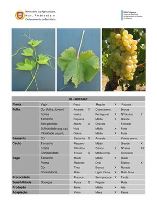 03 - MOSTAKY
Planta Vigor Fraco Regular X Robusta
Folha Cor (folha Jovem) Amarela X Cobre averm. Bronze
Forma Inteira Pentagonal X Nº lóbulos 5
Tamanho Pequena Média X Grande
Seio peciolar Aberto X Chaveta Fechado
Bulhosidade (pág.sup.) Nula Média X Forte
Pilosidade (pág.inf.) Glabra Média X Forte
Sarmento Cor Castanha X Amarela Violeta averm.
Cacho Tamanho Pequeno Médio Grande X
Forma Cilíndrico Cónico X Nº asas 1/2
Compacidade Frouxo X Média comp. Compacto
Bago Tamanho Miúdo Médio X Grado
Forma Redondo Oval Elíptico X
Cor Tinta Branca X Rosada
Consistência Mole Ligeir. Firme X Muito firme
Precocidade Precoce Semi precoce X Tardia
Sensibilidade Doenças Pouca X Regular Muita
Produção Baixa Média X Alta
Adaptação Vinho Mesa X Passa
 