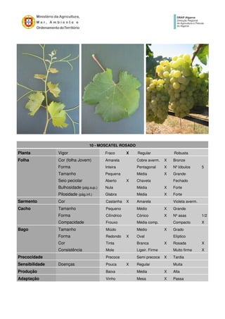 10 - MOSCATEL ROSADO
Planta Vigor Fraco X Regular Robusta
Folha Cor (folha Jovem) Amarela Cobre averm. X Bronze
Forma Inteira Pentagonal X Nº lóbulos 5
Tamanho Pequena Média X Grande
Seio peciolar Aberto X Chaveta Fechado
Bulhosidade (pág.sup.) Nula Média X Forte
Pilosidade (pág.inf.) Glabra Média X Forte
Sarmento Cor Castanha X Amarela Violeta averm.
Cacho Tamanho Pequeno Médio X Grande
Forma Cilíndrico Cónico X Nº asas 1/2
Compacidade Frouxo Média comp. Compacto X
Bago Tamanho Miúdo Médio X Grado
Forma Redondo X Oval Elíptico
Cor Tinta Branca X Rosada X
Consistência Mole Ligeir. Firme Muito firme X
Precocidade Precoce Semi precoce X Tardia
Sensibilidade Doenças Pouca X Regular Muita
Produção Baixa Média X Alta
Adaptação Vinho Mesa X Passa
 