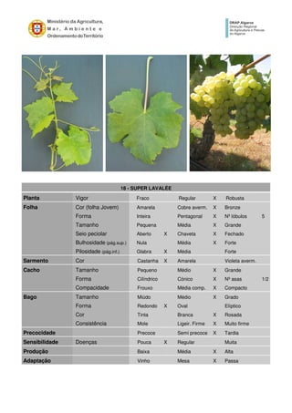 18 - SUPER LAVALÉE
Planta Vigor Fraco Regular X Robusta
Folha Cor (folha Jovem) Amarela Cobre averm. X Bronze
Forma Inteira Pentagonal X Nº lóbulos 5
Tamanho Pequena Média X Grande
Seio peciolar Aberto X Chaveta X Fechado
Bulhosidade (pág.sup.) Nula Média X Forte
Pilosidade (pág.inf.) Glabra X Média Forte
Sarmento Cor Castanha X Amarela Violeta averm.
Cacho Tamanho Pequeno Médio X Grande
Forma Cilíndrico Cónico X Nº asas 1/2
Compacidade Frouxo Média comp. X Compacto
Bago Tamanho Miúdo Médio X Grado
Forma Redondo X Oval Elíptico
Cor Tinta Branca X Rosada
Consistência Mole Ligeir. Firme X Muito firme
Precocidade Precoce Semi precoce X Tardia
Sensibilidade Doenças Pouca X Regular Muita
Produção Baixa Média X Alta
Adaptação Vinho Mesa X Passa
 