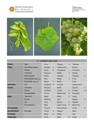 21 - VALÊNCIA AZUL (CO5)
Planta Vigor Fraco Regular X Robusta
Folha Cor (folha Jovem) Amarela X Cobre averm. Bronze
Forma Inteira X Pentagonal Nº lóbulos 3
Tamanho Pequena Média X Grande
Seio peciolar Aberto Chaveta Fechado X
Bulhosidade (pág.sup.) Nula Média X Forte
Pilosidade (pág.inf.) Glabra X Média Forte
Sarmento Cor Castanha X Amarela Violeta averm.
Cacho Tamanho Pequeno Médio Grande X
Forma Cilíndrico Cónico X Nº asas 1/2
Compacidade Frouxo Média comp. X Compacto
Bago Tamanho Miúdo Médio X Grado
Forma Redondo Oval Elíptico X
Cor Tinta Branca X Rosada
Consistência Mole Ligeir. Firme X Muito firme
Precocidade Precoce Semi precoce Tardia X
Sensibilidade Doenças Pouca X Regular Muita
Produção Baixa X Média Alta
Adaptação Vinho Mesa X Passa
 