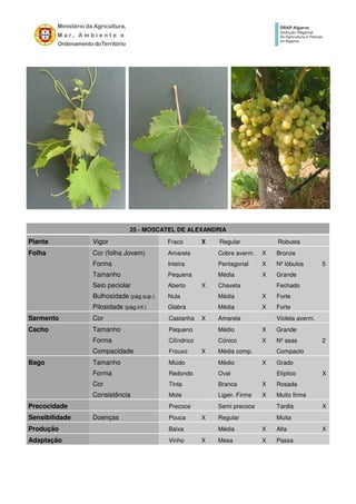 25 - MOSCATEL DE ALEXANDRIA
Planta Vigor Fraco X Regular Robusta
Folha Cor (folha Jovem) Amarela Cobre averm. X Bronze
Forma Inteira Pentagonal X Nº lóbulos 5
Tamanho Pequena Média X Grande
Seio peciolar Aberto X Chaveta Fechado
Bulhosidade (pág.sup.) Nula Média X Forte
Pilosidade (pág.inf.) Glabra Média X Forte
Sarmento Cor Castanha X Amarela Violeta averm.
Cacho Tamanho Pequeno Médio X Grande
Forma Cilíndrico Cónico X Nº asas 2
Compacidade Frouxo X Média comp. Compacto
Bago Tamanho Miúdo Médio X Grado
Forma Redondo Oval Elíptico X
Cor Tinta Branca X Rosada
Consistência Mole Ligeir. Firme X Muito firme
Precocidade Precoce Semi precoce Tardia X
Sensibilidade Doenças Pouca X Regular Muita
Produção Baixa Média X Alta X
Adaptação Vinho X Mesa X Passa
 
