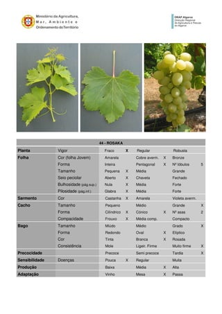 44 - ROSAKA
Planta Vigor Fraco X Regular Robusta
Folha Cor (folha Jovem) Amarela Cobre averm. X Bronze
Forma Inteira Pentagonal X Nº lóbulos 5
Tamanho Pequena X Média Grande
Seio peciolar Aberto X Chaveta Fechado
Bulhosidade (pág.sup.) Nula X Média Forte
Pilosidade (pág.inf.) Glabra X Média Forte
Sarmento Cor Castanha X Amarela Violeta averm.
Cacho Tamanho Pequeno Médio Grande X
Forma Cilíndrico X Cónico X Nº asas 2
Compacidade Frouxo X Média comp. Compacto
Bago Tamanho Miúdo Médio Grado X
Forma Redondo Oval X Elíptico
Cor Tinta Branca X Rosada
Consistência Mole Ligeir. Firme Muito firme X
Precocidade Precoce Semi precoce Tardia X
Sensibilidade Doenças Pouca X Regular Muita
Produção Baixa Média X Alta
Adaptação Vinho Mesa X Passa
 