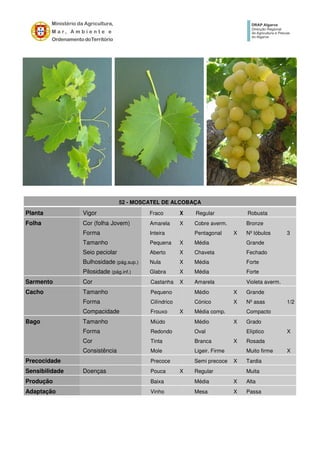 52 - MOSCATEL DE ALCOBAÇA
Planta Vigor Fraco X Regular Robusta
Folha Cor (folha Jovem) Amarela X Cobre averm. Bronze
Forma Inteira Pentagonal X Nº lóbulos 3
Tamanho Pequena X Média Grande
Seio peciolar Aberto X Chaveta Fechado
Bulhosidade (pág.sup.) Nula X Média Forte
Pilosidade (pág.inf.) Glabra X Média Forte
Sarmento Cor Castanha X Amarela Violeta averm.
Cacho Tamanho Pequeno Médio X Grande
Forma Cilíndrico Cónico X Nº asas 1/2
Compacidade Frouxo X Média comp. Compacto
Bago Tamanho Miúdo Médio X Grado
Forma Redondo Oval Elíptico X
Cor Tinta Branca X Rosada
Consistência Mole Ligeir. Firme Muito firme X
Precocidade Precoce Semi precoce X Tardia
Sensibilidade Doenças Pouca X Regular Muita
Produção Baixa Média X Alta
Adaptação Vinho Mesa X Passa
 