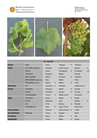 56 - MAJOR
Planta Vigor Fraco Regular X Robusta
Folha Cor (folha Jovem) Amarela Cobre averm. Bronze X
Forma Inteira Pentagonal X Nº lóbulos 3/5
Tamanho Pequena Média Grande
Seio peciolar Aberto Chaveta X Fechado
Bulhosidade (pág.sup.) Nula Média Forte
Pilosidade (pág.inf.) Glabra X Média X Forte
Sarmento Cor Castanha X Amarela Violeta averm.
Cacho Tamanho Pequeno Médio X Grande
Forma Cilíndrico Cónico X Nº asas 1/2
Compacidade Frouxo X Média comp. Compacto
Bago Tamanho Miúdo Médio X Grado
Forma Redondo Oval Elíptico X
Cor Tinta Branca X Rosada
Consistência Mole X Ligeir. Firme Muito firme
Precocidade Precoce Semi precoce X Tardia
Sensibilidade Doenças Pouca X Regular Muita
Produção Baixa Média X Alta
Adaptação Vinho Mesa X Passa
 