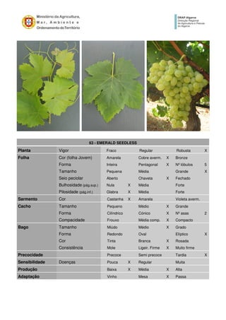 63 - EMERALD SEEDLESS
Planta Vigor Fraco Regular Robusta X
Folha Cor (folha Jovem) Amarela Cobre averm. X Bronze
Forma Inteira Pentagonal X Nº lóbulos 5
Tamanho Pequena Média Grande X
Seio peciolar Aberto Chaveta X Fechado
Bulhosidade (pág.sup.) Nula X Média Forte
Pilosidade (pág.inf.) Glabra X Média Forte
Sarmento Cor Castanha X Amarela Violeta averm.
Cacho Tamanho Pequeno Médio X Grande
Forma Cilíndrico Cónico X Nº asas 2
Compacidade Frouxo Média comp. X Compacto
Bago Tamanho Miúdo Médio X Grado
Forma Redondo Oval Elíptico X
Cor Tinta Branca X Rosada
Consistência Mole Ligeir. Firme X Muito firme
Precocidade Precoce Semi precoce Tardia X
Sensibilidade Doenças Pouca X Regular Muita
Produção Baixa X Média X Alta
Adaptação Vinho Mesa X Passa
 