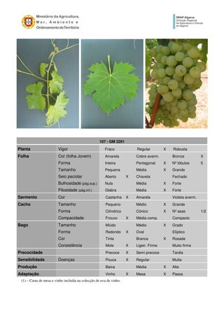 107 - GM 2291
Planta Vigor Fraco Regular X Robusta
Folha Cor (folha Jovem) Amarela Cobre averm. Bronze X
Forma Inteira Pentagonal X Nº lóbulos 5
Tamanho Pequena Média X Grande
Seio peciolar Aberto X Chaveta Fechado
Bulhosidade (pág.sup.) Nula Média X Forte
Pilosidade (pág.inf.) Glabra Média X Forte
Sarmento Cor Castanha X Amarela Violeta averm.
Cacho Tamanho Pequeno Médio X Grande
Forma Cilíndrico Cónico X Nº asas 1/2
Compacidade Frouxo X Média comp. Compacto
Bago Tamanho Miúdo Médio X Grado
Forma Redondo X Oval Elíptico
Cor Tinta Branca X Rosada
Consistência Mole X Ligeir. Firme Muito firme
Precocidade Precoce X Semi precoce Tardia
Sensibilidade Doenças Pouca X Regular Muita
Produção Baixa Média X Alta
Adaptação Vinho X Mesa X Passa
(1) – Casta de mesa e vinho incluída na colecção de uva de vinho.
 