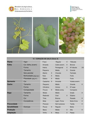 15 - CORAÇÃO DE GALO (Clone A)
Planta Vigor Fraco Regular X Robusta
Folha Cor (folha Jovem) Amarela Cobre averm. X Bronze
Forma Inteira Pentagonal X Nº lóbulos 3/5
Tamanho Pequena Média X Grande
Seio peciolar Aberto X Chaveta Fechado
Bulhosidade (pág.sup.) Nula X Média Forte
Pilosidade (pág.inf.) Glabra X Média Forte
Sarmento Cor Castanha X Amarela Violeta averm.
Cacho Tamanho Pequeno Médio Grande X
Forma Cilíndrico Cónico X Nº asas
Compacidade Frouxo X Média comp. Compacto
Bago Tamanho Miúdo Médio Grado X
Forma Redondo Oval X Elíptico
Cor Tinta Branca Rosada X
Consistência Mole Ligeir. Firme Muito firme X
Precocidade Precoce Semi precoce Tardia X
Sensibilidade Doenças Pouca X Regular Muita
Produção Baixa Média X Alta X
Adaptação Vinho X Mesa X Passa
 
