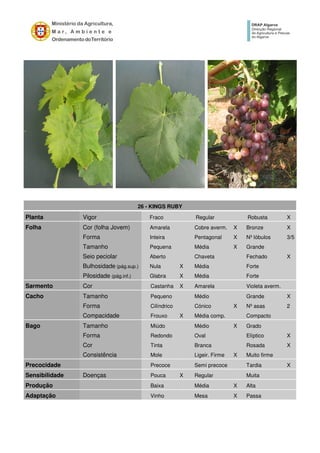 26 - KINGS RUBY
Planta Vigor Fraco Regular Robusta X
Folha Cor (folha Jovem) Amarela Cobre averm. X Bronze X
Forma Inteira Pentagonal X Nº lóbulos 3/5
Tamanho Pequena Média X Grande
Seio peciolar Aberto Chaveta Fechado X
Bulhosidade (pág.sup.) Nula X Média Forte
Pilosidade (pág.inf.) Glabra X Média Forte
Sarmento Cor Castanha X Amarela Violeta averm.
Cacho Tamanho Pequeno Médio Grande X
Forma Cilíndrico Cónico X Nº asas 2
Compacidade Frouxo X Média comp. Compacto
Bago Tamanho Miúdo Médio X Grado
Forma Redondo Oval Elíptico X
Cor Tinta Branca Rosada X
Consistência Mole Ligeir. Firme X Muito firme
Precocidade Precoce Semi precoce Tardia X
Sensibilidade Doenças Pouca X Regular Muita
Produção Baixa Média X Alta
Adaptação Vinho Mesa X Passa
 
