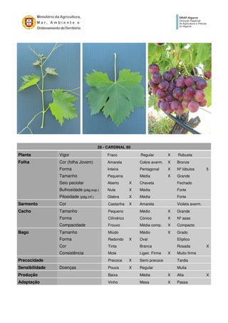 28 - CARDINAL 80
Planta Vigor Fraco Regular X Robusta
Folha Cor (folha Jovem) Amarela Cobre averm. X Bronze
Forma Inteira Pentagonal X Nº lóbulos 5
Tamanho Pequena Média X Grande
Seio peciolar Aberto X Chaveta Fechado
Bulhosidade (pág.sup.) Nula X Média Forte
Pilosidade (pág.inf.) Glabra X Média Forte
Sarmento Cor Castanha X Amarela Violeta averm.
Cacho Tamanho Pequeno Médio X Grande
Forma Cilíndrico Cónico X Nº asas
Compacidade Frouxo Média comp. X Compacto
Bago Tamanho Miúdo Médio X Grado
Forma Redondo X Oval Elíptico
Cor Tinta Branca Rosada X
Consistência Mole Ligeir. Firme X Muito firme
Precocidade Precoce X Semi precoce Tardia
Sensibilidade Doenças Pouca X Regular Muita
Produção Baixa Média X Alta X
Adaptação Vinho Mesa X Passa
 