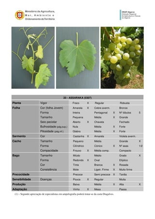 20 - ASSARAKA (0307)
Planta Vigor Fraco X Regular Robusta
Folha Cor (folha Jovem) Amarela X Cobre averm. Bronze
Forma Inteira Pentagonal X Nº lóbulos 5
Tamanho Pequena Média X Grande
Seio peciolar Aberto X Chaveta Fechado
Bulhosidade (pág.sup.) Nula Média X Forte
Pilosidade (pág.inf.) Glabra Média X Forte
Sarmento Cor Castanha X Amarela Violeta averm.
Cacho Tamanho Pequeno Média Grande X
Forma Cilíndrico Cónico X Nº asas 1/2
Compacidade Frouxo X Média comp. Compacto
Bago Tamanho Miúdo Médio Grado X
Forma Redondo X Oval Elíptico
Cor Tinta Branca X Rosada
Consistência Mole Ligeir. Firme X Muito firme
Precocidade Precoce Semi precoce X Tardia
Sensibilidade Doenças Pouca X Regular Muita
Produção Baixa Média X Alta X
Adaptação Vinho X Mesa Passa
(1) – Segundo apreciação de especialistas em ampelografia poderá tratar-se da casta Diagalves.
 
