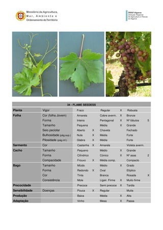 34 - FLAME SEEDESS
Planta Vigor Fraco Regular X Robusta
Folha Cor (folha Jovem) Amarela Cobre averm. X Bronze
Forma Inteira Pentagonal X Nº lóbulos 5
Tamanho Pequena Média X Grande
Seio peciolar Aberto X Chaveta Fechado
Bulhosidade (pág.sup.) Nula X Média Forte
Pilosidade (pág.inf.) Glabra X Média Forte
Sarmento Cor Castanha X Amarela Violeta averm.
Cacho Tamanho Pequeno Médio X Grande
Forma Cilíndrico Cónico X Nº asas 2
Compacidade Frouxo X Média comp. Compacto
Bago Tamanho Miúdo Médio X Grado
Forma Redondo X Oval Elíptico
Cor Tinta Branca Rosada X
Consistência Mole Ligeir. Firme X Muito firme
Precocidade Precoce Semi precoce X Tardia
Sensibilidade Doenças Pouca X Regular Muita
Produção Baixa Média X Alta
Adaptação Vinho Mesa X Passa
 