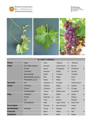 36 - EARLY CARDINAL
Planta Vigor Fraco Regular X Robusta
Folha Cor (folha Jovem) Amarela Cobre averm. X Bronze
Forma Inteira Pentagonal X Nº lóbulos 5
Tamanho Pequena Média X Grande
Seio peciolar Aberto X Chaveta Fechado
Bulhosidade (pág.sup.) Nula X Média Forte
Pilosidade (pág.inf.) Glabra X Média Forte
Sarmento Cor Castanha X Amarela Violeta averm.
Cacho Tamanho Pequeno Médio X Grande X
Forma Cilíndrico Cónico X Nº asas 2
Compacidade Frouxo X Média comp. Compacto
Bago Tamanho Miúdo Médio X Grado X
Forma Redondo X Oval Elíptico
Cor Tinta Branca Rosada X
Consistência Mole Ligeir. Firme X Muito firme
Precocidade Precoce X Semi precoce Tardia
Sensibilidade Doenças Pouca X Regular Muita
Produção Baixa Média X Alta X
Adaptação Vinho Mesa X Passa
 