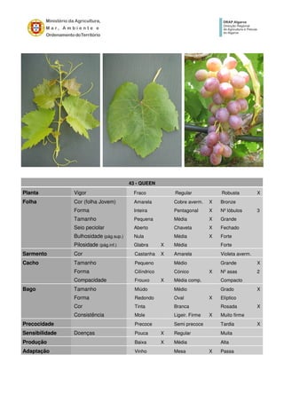 43 - QUEEN
Planta Vigor Fraco Regular Robusta X
Folha Cor (folha Jovem) Amarela Cobre averm. X Bronze
Forma Inteira Pentagonal X Nº lóbulos 3
Tamanho Pequena Média X Grande
Seio peciolar Aberto Chaveta X Fechado
Bulhosidade (pág.sup.) Nula Média X Forte
Pilosidade (pág.inf.) Glabra X Média Forte
Sarmento Cor Castanha X Amarela Violeta averm.
Cacho Tamanho Pequeno Médio Grande X
Forma Cilíndrico Cónico X Nº asas 2
Compacidade Frouxo X Média comp. Compacto
Bago Tamanho Miúdo Médio Grado X
Forma Redondo Oval X Elíptico
Cor Tinta Branca Rosada X
Consistência Mole Ligeir. Firme X Muito firme
Precocidade Precoce Semi precoce Tardia X
Sensibilidade Doenças Pouca X Regular Muita
Produção Baixa X Média Alta
Adaptação Vinho Mesa X Passa
 