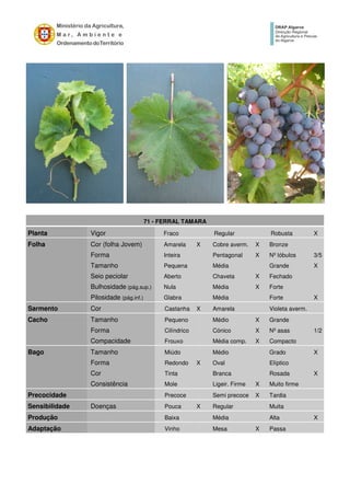 71 - FERRAL TAMARA
Planta Vigor Fraco Regular Robusta X
Folha Cor (folha Jovem) Amarela X Cobre averm. X Bronze
Forma Inteira Pentagonal X Nº lóbulos 3/5
Tamanho Pequena Média Grande X
Seio peciolar Aberto Chaveta X Fechado
Bulhosidade (pág.sup.) Nula Média X Forte
Pilosidade (pág.inf.) Glabra Média Forte X
Sarmento Cor Castanha X Amarela Violeta averm.
Cacho Tamanho Pequeno Médio X Grande
Forma Cilíndrico Cónico X Nº asas 1/2
Compacidade Frouxo Média comp. X Compacto
Bago Tamanho Miúdo Médio Grado X
Forma Redondo X Oval Elíptico
Cor Tinta Branca Rosada X
Consistência Mole Ligeir. Firme X Muito firme
Precocidade Precoce Semi precoce X Tardia
Sensibilidade Doenças Pouca X Regular Muita
Produção Baixa Média Alta X
Adaptação Vinho Mesa X Passa
 