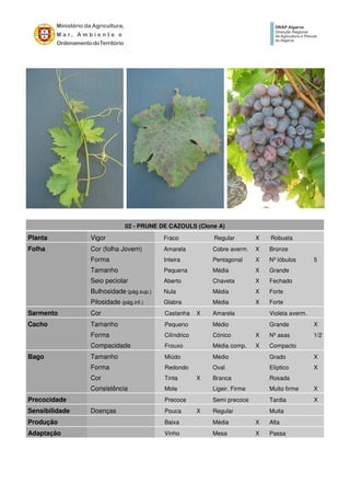 02 - PRUNE DE CAZOULS (Clone A)
Planta Vigor Fraco Regular X Robusta
Folha Cor (folha Jovem) Amarela Cobre averm. X Bronze
Forma Inteira Pentagonal X Nº lóbulos 5
Tamanho Pequena Média X Grande
Seio peciolar Aberto Chaveta X Fechado
Bulhosidade (pág.sup.) Nula Média X Forte
Pilosidade (pág.inf.) Glabra Média X Forte
Sarmento Cor Castanha X Amarela Violeta averm.
Cacho Tamanho Pequeno Médio Grande X
Forma Cilíndrico Cónico X Nº asas 1/2
Compacidade Frouxo Média comp. X Compacto
Bago Tamanho Miúdo Médio Grado X
Forma Redondo Oval Elíptico X
Cor Tinta X Branca Rosada
Consistência Mole Ligeir. Firme Muito firme X
Precocidade Precoce Semi precoce Tardia X
Sensibilidade Doenças Pouca X Regular Muita
Produção Baixa Média X Alta
Adaptação Vinho Mesa X Passa
 