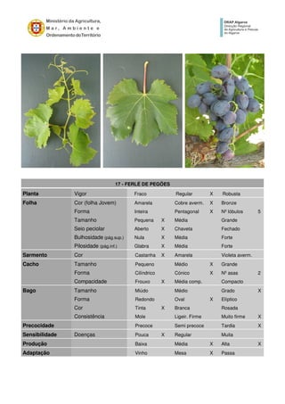 17 - FERLÉ DE PEGÕES
Planta Vigor Fraco Regular X Robusta
Folha Cor (folha Jovem) Amarela Cobre averm. X Bronze
Forma Inteira Pentagonal X Nº lóbulos 5
Tamanho Pequena X Média Grande
Seio peciolar Aberto X Chaveta Fechado
Bulhosidade (pág.sup.) Nula X Média Forte
Pilosidade (pág.inf.) Glabra X Média Forte
Sarmento Cor Castanha X Amarela Violeta averm.
Cacho Tamanho Pequeno Médio X Grande
Forma Cilíndrico Cónico X Nº asas 2
Compacidade Frouxo X Média comp. Compacto
Bago Tamanho Miúdo Médio Grado X
Forma Redondo Oval X Elíptico
Cor Tinta X Branca Rosada
Consistência Mole Ligeir. Firme Muito firme X
Precocidade Precoce Semi precoce Tardia X
Sensibilidade Doenças Pouca X Regular Muita
Produção Baixa Média X Alta X
Adaptação Vinho Mesa X Passa
 