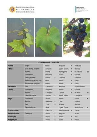 27 - ALPHONSE LAVALLÉE
Planta Vigor Fraco Regular X Robusta
Folha Cor (folha Jovem) Amarela Cobre averm. X Bronze
Forma Inteira Pentagonal X Nº lóbulos 3/5
Tamanho Pequena Média X Grande
Seio peciolar Aberto X Chaveta Fechado
Bulhosidade (pág.sup.) Nula Média X Forte
Pilosidade (pág.inf.) Glabra Média X Forte
Sarmento Cor Castanha X Amarela Violeta averm.
Cacho Tamanho Pequeno Médio X Grande
Forma Cilíndrico Cónico X Nº asas 1/2
Compacidade Frouxo X Média comp. Compacto
Bago Tamanho Miúdo Médio Grado X
Forma Redondo X Oval Elíptico
Cor Tinta X Branca Rosada
Consistência Mole Ligeir. Firme Muito firme X
Precocidade Precoce Semi precoce X Tardia
Sensibilidade Doenças Pouca X Regular Muita
Produção Baixa X Média X Alta
Adaptação Vinho X Mesa X Passa
 