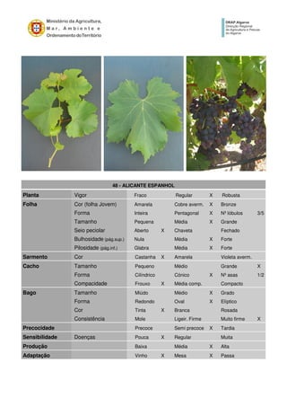 48 - ALICANTE ESPANHOL
Planta Vigor Fraco Regular X Robusta
Folha Cor (folha Jovem) Amarela Cobre averm. X Bronze
Forma Inteira Pentagonal X Nº lóbulos 3/5
Tamanho Pequena Média X Grande
Seio peciolar Aberto X Chaveta Fechado
Bulhosidade (pág.sup.) Nula Média X Forte
Pilosidade (pág.inf.) Glabra Média X Forte
Sarmento Cor Castanha X Amarela Violeta averm.
Cacho Tamanho Pequeno Médio Grande X
Forma Cilíndrico Cónico X Nº asas 1/2
Compacidade Frouxo X Média comp. Compacto
Bago Tamanho Miúdo Médio X Grado
Forma Redondo Oval X Elíptico
Cor Tinta X Branca Rosada
Consistência Mole Ligeir. Firme Muito firme X
Precocidade Precoce Semi precoce X Tardia
Sensibilidade Doenças Pouca X Regular Muita
Produção Baixa Média X Alta
Adaptação Vinho X Mesa X Passa
 