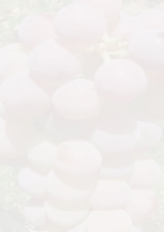 Castas de Vinho e Mesa Existentes no CEAT