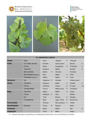 33 - MANTEUDO (L3E6V5)
Planta Vigor Fraco Regular X Robusta
Folha Cor (folha Jovem) Amarela Cobre averm. Bronze X
Forma Inteira Pentagonal X Nº lóbulos 5
Tamanho Pequena Média Grande X
Seio peciolar Aberto X Chaveta Fechado
Bulhosidade (pág.sup.) Nula Média X Forte
Pilosidade (pág.inf.) Glabra Média X Forte
Sarmento Cor Castanha X Amarela Violeta averm.
Cacho Tamanho Pequeno Médio X Grande X
Forma Cilíndrico Cónico X Nº asas 1/2
Compacidade Frouxo Média comp. X Compacto
Bago Tamanho Miúdo Médio X Grado
Forma Redondo X Oval Elíptico
Cor Tinta Branca X Rosada
Consistência Mole Ligeir. Firme X Muito firme
Precocidade Precoce Semi precoce X Tardia
Sensibilidade Doenças Pouca X Regular Muita
Produção Baixa Média Alta X
Adaptação Vinho X Mesa Passa
(1) – Segundo apreciação de especialistas em ampelografia poderá tratar-se da casta Manteudo do Alentejo.
 