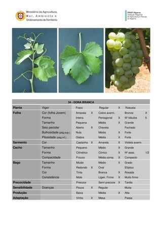 34 - DONA BRANCA
Planta Vigor Fraco Regular X Robusta
Folha Cor (folha Jovem) Amarela X Cobre averm. Bronze X
Forma Inteira Pentagonal X Nº lóbulos 5
Tamanho Pequena Média X Grande
Seio peciolar Aberto X Chaveta Fechado
Bulhosidade (pág.sup.) Nula Média X Forte
Pilosidade (pág.inf.) Glabra Média X Forte
Sarmento Cor Castanha X Amarela X Violeta averm.
Cacho Tamanho Pequeno Médio X Grande
Forma Cilíndrico Cónico X Nº asas 1/2
Compacidade Frouxo Média comp. X Compacto
Bago Tamanho Miúdo Médio X Grado
Forma Redondo X Oval Elíptico
Cor Tinta Branca X Rosada
Consistência Mole Ligeir. Firme X Muito firme
Precocidade Precoce Semi precoce X Tardia
Sensibilidade Doenças Pouca X Regular Muita
Produção Baixa Média X Alta
Adaptação Vinho X Mesa Passa
 