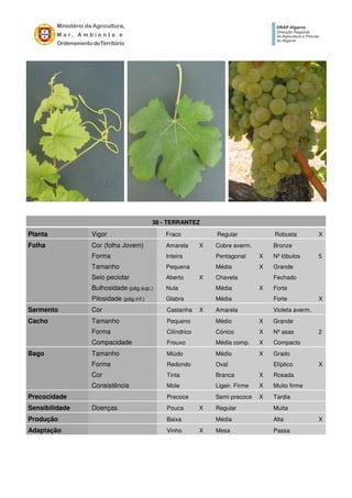 38 - TERRANTEZ
Planta Vigor Fraco Regular Robusta X
Folha Cor (folha Jovem) Amarela X Cobre averm. Bronze
Forma Inteira Pentagonal X Nº lóbulos 5
Tamanho Pequena Média X Grande
Seio peciolar Aberto X Chaveta Fechado
Bulhosidade (pág.sup.) Nula Média X Forte
Pilosidade (pág.inf.) Glabra Média Forte X
Sarmento Cor Castanha X Amarela Violeta averm.
Cacho Tamanho Pequeno Médio X Grande
Forma Cilíndrico Cónico X Nº asas 2
Compacidade Frouxo Média comp. X Compacto
Bago Tamanho Miúdo Médio X Grado
Forma Redondo Oval Elíptico X
Cor Tinta Branca X Rosada
Consistência Mole Ligeir. Firme X Muito firme
Precocidade Precoce Semi precoce X Tardia
Sensibilidade Doenças Pouca X Regular Muita
Produção Baixa Média Alta X
Adaptação Vinho X Mesa Passa
 