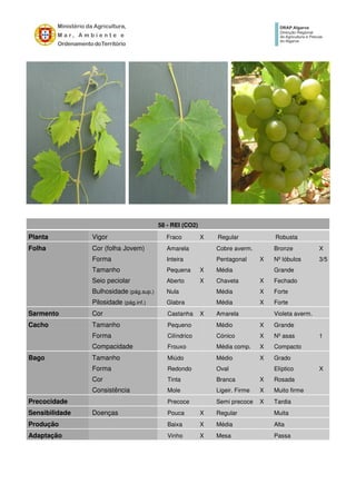 58 - REI (CO2)
Planta Vigor Fraco X Regular Robusta
Folha Cor (folha Jovem) Amarela Cobre averm. Bronze X
Forma Inteira Pentagonal X Nº lóbulos 3/5
Tamanho Pequena X Média Grande
Seio peciolar Aberto X Chaveta X Fechado
Bulhosidade (pág.sup.) Nula Média X Forte
Pilosidade (pág.inf.) Glabra Média X Forte
Sarmento Cor Castanha X Amarela Violeta averm.
Cacho Tamanho Pequeno Médio X Grande
Forma Cilíndrico Cónico X Nº asas 1
Compacidade Frouxo Média comp. X Compacto
Bago Tamanho Miúdo Médio X Grado
Forma Redondo Oval Elíptico X
Cor Tinta Branca X Rosada
Consistência Mole Ligeir. Firme X Muito firme
Precocidade Precoce Semi precoce X Tardia
Sensibilidade Doenças Pouca X Regular Muita
Produção Baixa X Média Alta
Adaptação Vinho X Mesa Passa
 