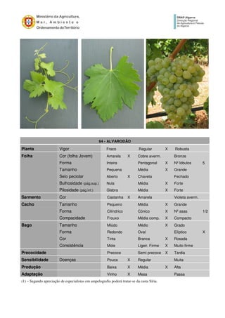 (1) – Segundo apreciação de especialistas em ampelografia poderá tratar-se da casta Síria.
64 - ALVARODÃO
Planta Vigor Fraco Regular X Robusta
Folha Cor (folha Jovem) Amarela X Cobre averm. Bronze
Forma Inteira Pentagonal X Nº lóbulos 5
Tamanho Pequena Média X Grande
Seio peciolar Aberto X Chaveta Fechado
Bulhosidade (pág.sup.) Nula Média X Forte
Pilosidade (pág.inf.) Glabra Média X Forte
Sarmento Cor Castanha X Amarela Violeta averm.
Cacho Tamanho Pequeno Média X Grande
Forma Cilíndrico Cónico X Nº asas 1/2
Compacidade Frouxo Média comp. X Compacto
Bago Tamanho Miúdo Médio X Grado
Forma Redondo Oval Elíptico X
Cor Tinta Branca X Rosada
Consistência Mole Ligeir. Firme X Muito firme
Precocidade Precoce Semi precoce X Tardia
Sensibilidade Doenças Pouca X Regular Muita
Produção Baixa X Média X Alta
Adaptação Vinho X Mesa Passa
 