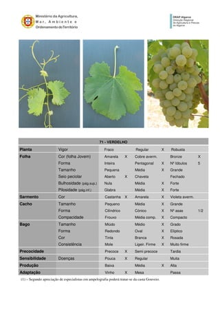(1) – Segundo apreciação de especialistas em ampelografia poderá tratar-se da casta Gouveio.
71 - VERDELHO
Planta Vigor Fraco Regular X Robusta
Folha Cor (folha Jovem) Amarela X Cobre averm. Bronze X
Forma Inteira Pentagonal X Nº lóbulos 5
Tamanho Pequena Média X Grande
Seio peciolar Aberto X Chaveta Fechado
Bulhosidade (pág.sup.) Nula Média X Forte
Pilosidade (pág.inf.) Glabra Média X Forte
Sarmento Cor Castanha X Amarela X Violeta averm.
Cacho Tamanho Pequeno Média X Grande
Forma Cilíndrico Cónico X Nº asas 1/2
Compacidade Frouxo Média comp. X Compacto
Bago Tamanho Miúdo Médio X Grado
Forma Redondo Oval X Elíptico
Cor Tinta Branca X Rosada
Consistência Mole Ligeir. Firme X Muito firme
Precocidade Precoce X Semi precoce Tardia
Sensibilidade Doenças Pouca X Regular Muita
Produção Baixa Média X Alta
Adaptação Vinho X Mesa Passa
 