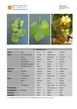 (1) – Segundo apreciação de especialistas em ampelografia poderá tratar-se da casta Síria.
72 - TAMARÊZ (CO3)
Planta Vigor Fraco X Regular Robusta
Folha Cor (folha Jovem) Amarela X Cobre averm. Bronze
Forma Inteira Pentagonal X Nº lóbulos 5
Tamanho Pequena Média X Grande
Seio peciolar Aberto X Chaveta Fechado
Bulhosidade (pág.sup.) Nula Média X Forte
Pilosidade (pág.inf.) Glabra Média X Forte
Sarmento Cor Castanha X Amarela X Violeta averm.
Cacho Tamanho Pequeno Média X Grande
Forma Cilíndrico Cónico X Nº asas 1/2
Compacidade Frouxo Média comp. X Compacto
Bago Tamanho Miúdo Médio X Grado
Forma Redondo Oval Elíptico X
Cor Tinta Branca X Rosada
Consistência Mole Ligeir. Firme X Muito firme
Precocidade Precoce Semi precoce X Tardia
Sensibilidade Doenças Pouca X Regular Muita
Produção Baixa X Média Alta
Adaptação Vinho X Mesa Passa
 