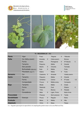 (1) – Segundo apreciação de especialistas em ampelografia poderá tratar-se da casta Malvasia Fina.
73 - DELICIOSA (01 – 01)
Planta Vigor Fraco Regular X Robusta
Folha Cor (folha Jovem) Amarela X Cobre averm. Bronze
Forma Inteira Pentagonal X Nº lóbulos 5
Tamanho Pequena Média X Grande
Seio peciolar Aberto X Chaveta Fechado
Bulhosidade (pág.sup.) Nula X Média Forte
Pilosidade (pág.inf.) Glabra Média X Forte
Sarmento Cor Castanha X Amarela Violeta averm.
Cacho Tamanho Pequeno Média X Grande
Forma Cilíndrico Cónico X Nº asas 1/2
Compacidade Frouxo X Média comp. Compacto
Bago Tamanho Miúdo Médio X Grado
Forma Redondo Oval Elíptico X
Cor Tinta Branca X Rosada
Consistência Mole X Ligeir. Firme Muito firme
Precocidade Precoce Semi precoce X Tardia
Sensibilidade Doenças Pouca X Regular Muita
Produção Baixa X Média X Alta
Adaptação Vinho X Mesa Passa
 