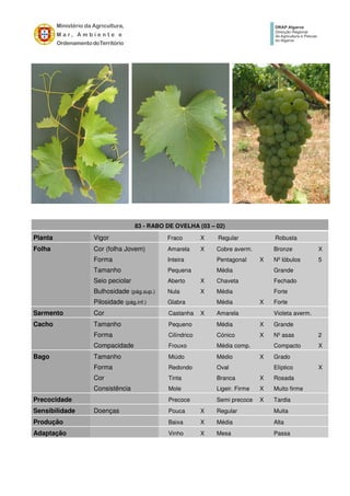 83 - RABO DE OVELHA (03 – 02)
Planta Vigor Fraco X Regular Robusta
Folha Cor (folha Jovem) Amarela X Cobre averm. Bronze X
Forma Inteira Pentagonal X Nº lóbulos 5
Tamanho Pequena Média Grande
Seio peciolar Aberto X Chaveta Fechado
Bulhosidade (pág.sup.) Nula X Média Forte
Pilosidade (pág.inf.) Glabra Média X Forte
Sarmento Cor Castanha X Amarela Violeta averm.
Cacho Tamanho Pequeno Média X Grande
Forma Cilíndrico Cónico X Nº asas 2
Compacidade Frouxo Média comp. Compacto X
Bago Tamanho Miúdo Médio X Grado
Forma Redondo Oval Elíptico X
Cor Tinta Branca X Rosada
Consistência Mole Ligeir. Firme X Muito firme
Precocidade Precoce Semi precoce X Tardia
Sensibilidade Doenças Pouca X Regular Muita
Produção Baixa X Média Alta
Adaptação Vinho X Mesa Passa
 